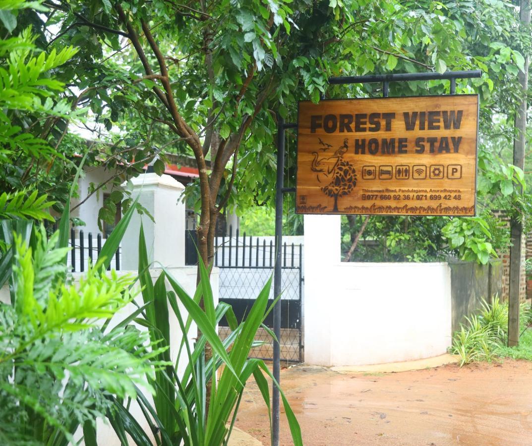 Forest View Home Stay Anuradhapura Esterno foto